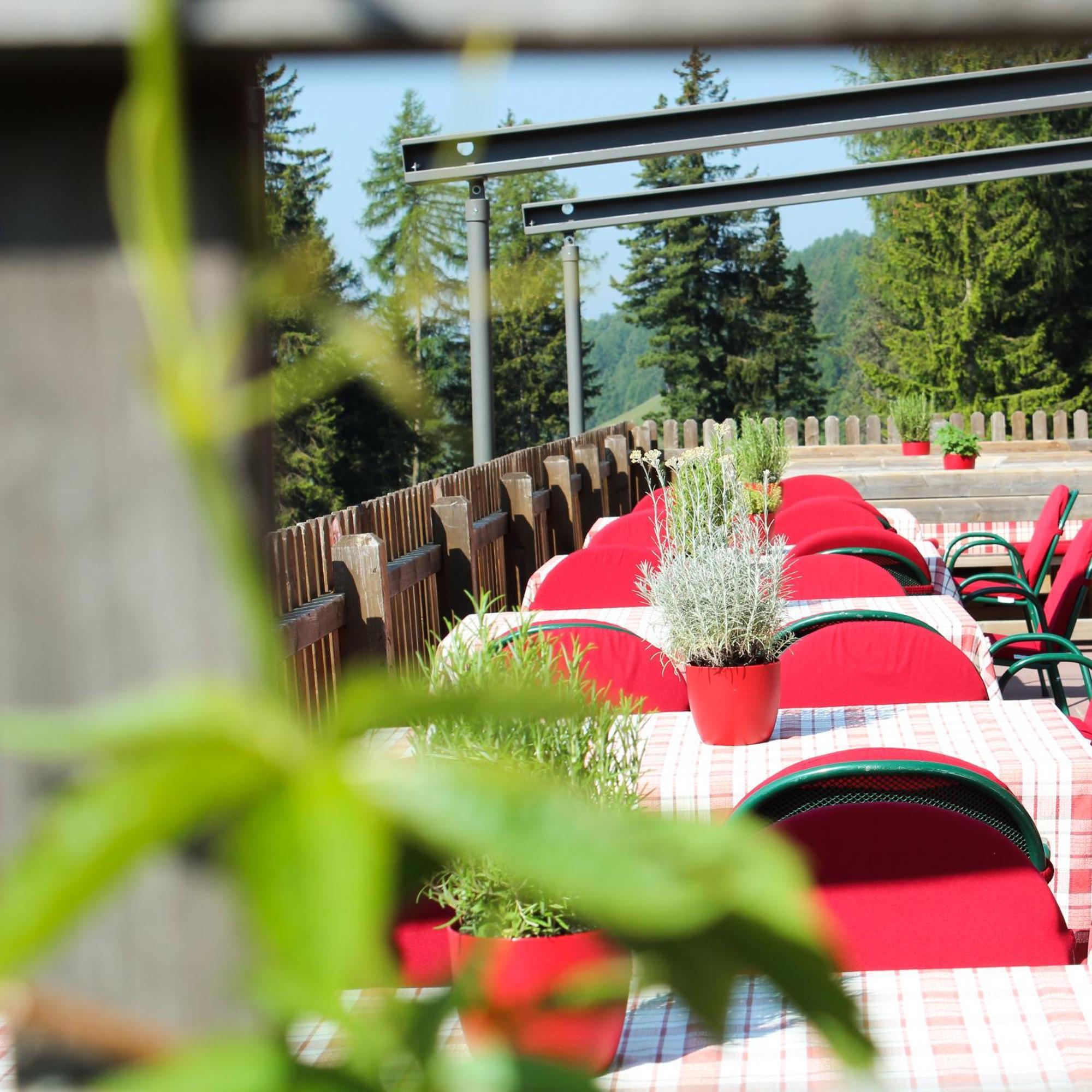 Zum Zirm Hotel Collalbo